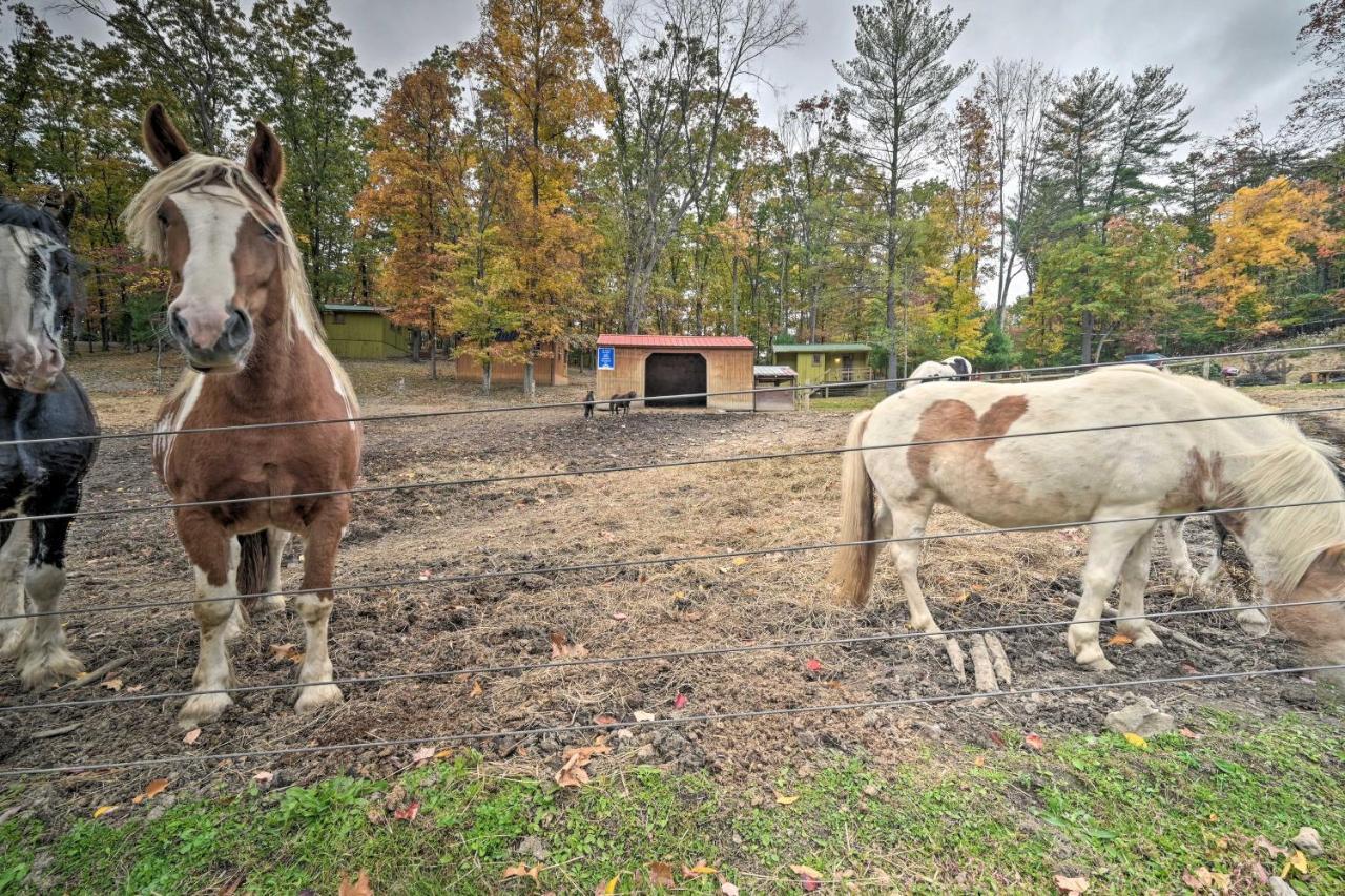 John Wayne Apartment - Deck, Bbq, Horses On-Site Huntingdon Exterior photo
