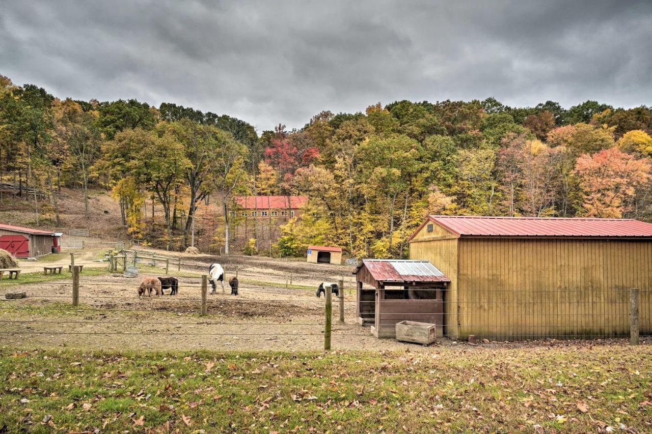John Wayne Apartment - Deck, Bbq, Horses On-Site Huntingdon Exterior photo